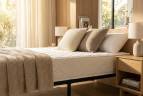 Матрас Виртуоз (кокос + memory foam)
